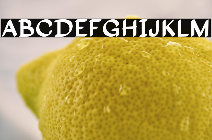 Disputed Housing Example 3