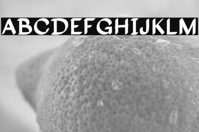 Disputed Housing Polices examples