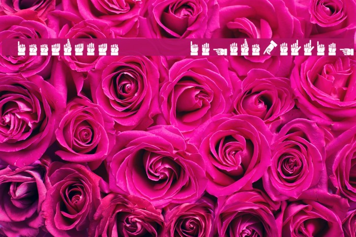 Dissaramas CRU Fingerspelling Example 1