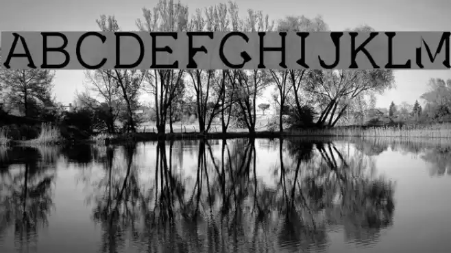 Dissatisfaction Font examples