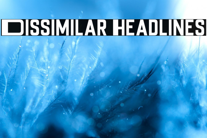 Dissimilar Headlines Example 1