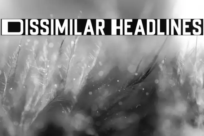 Dissimilar Headlines Example 1