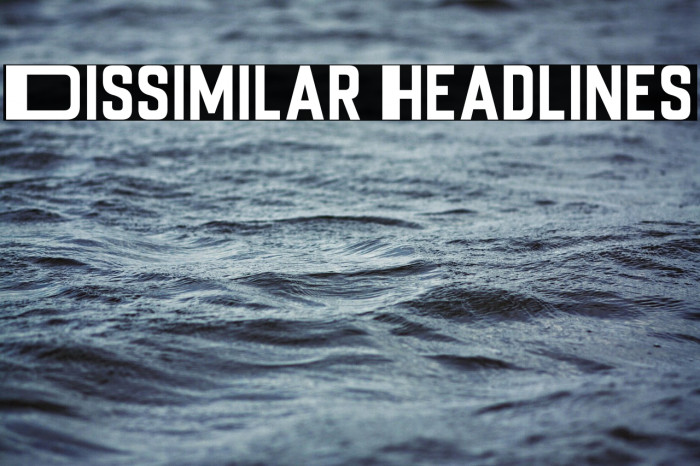 Dissimilar Headlines Example 3