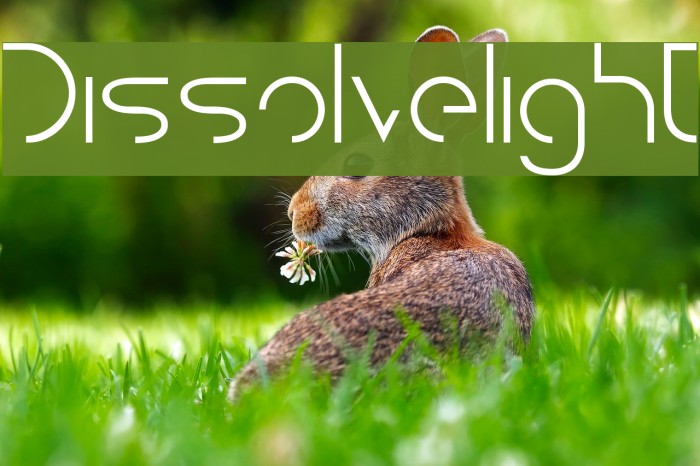 Dissolvelight Font examples