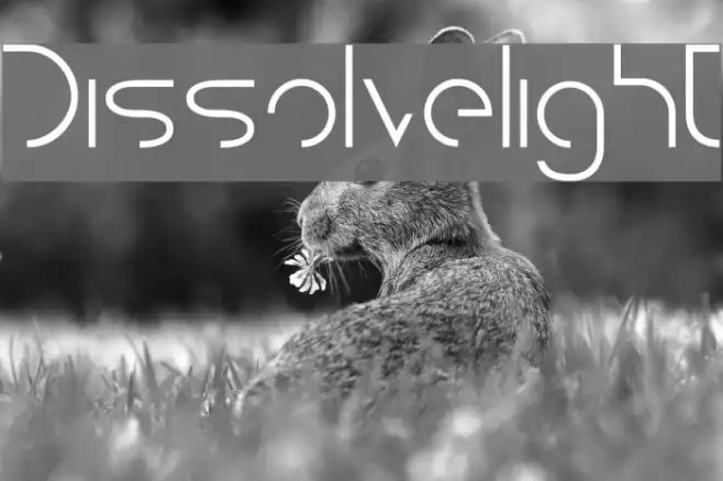 Dissolvelight Example 3