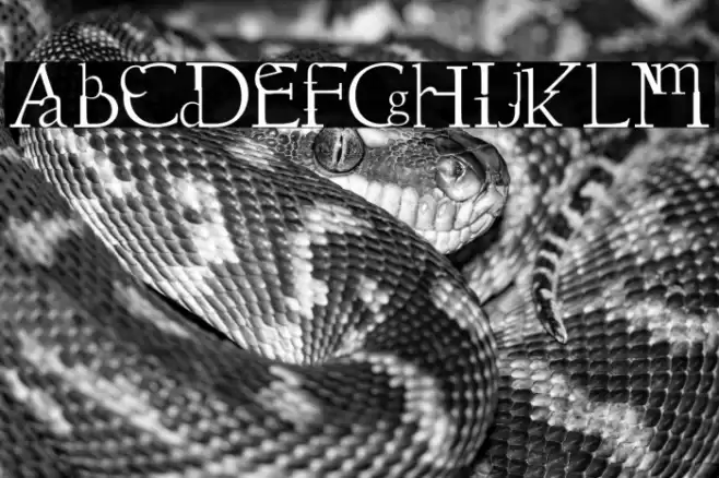 Dissouns Schriftart examples