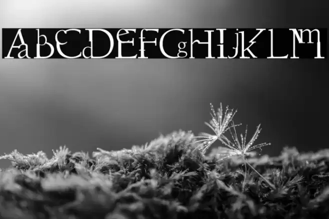 Dissouns Schriftart examples