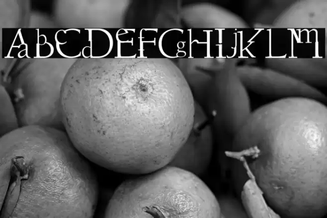 Dissouns Font examples