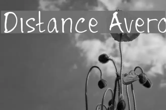 Distance Avero Example 3