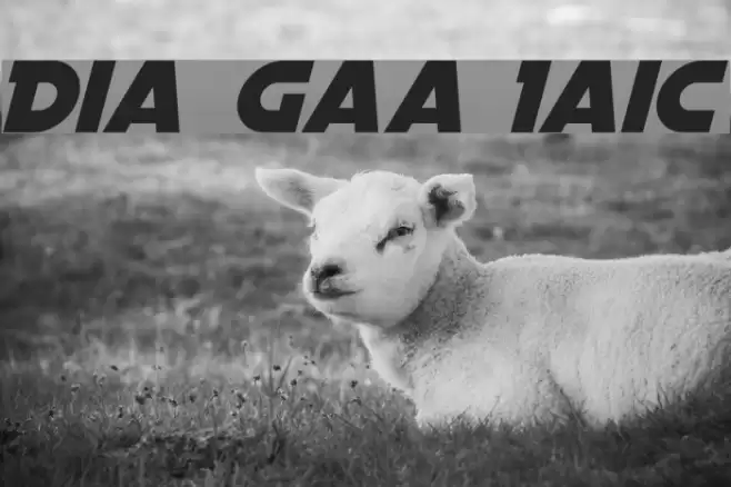 Distant Galaxy Italic フォント examples