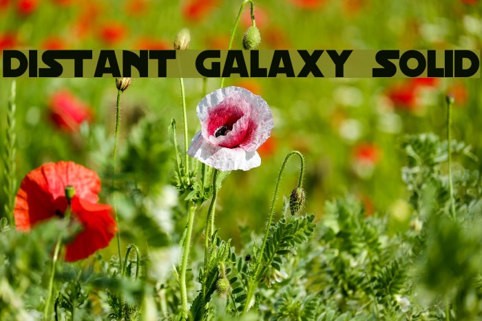 Distant Galaxy Solid Fonte examples