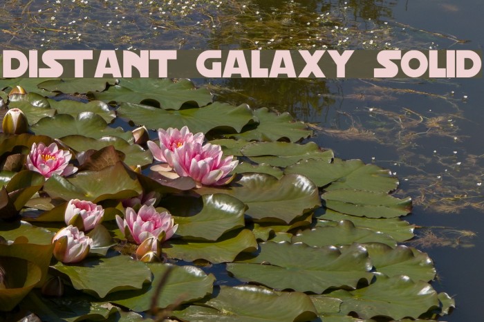 Distant Galaxy Solid Fonte examples