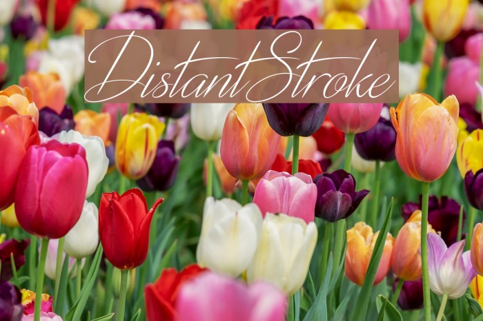 DistantStroke Font examples