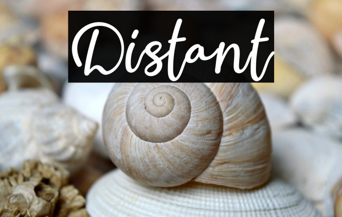 Distant Example 1