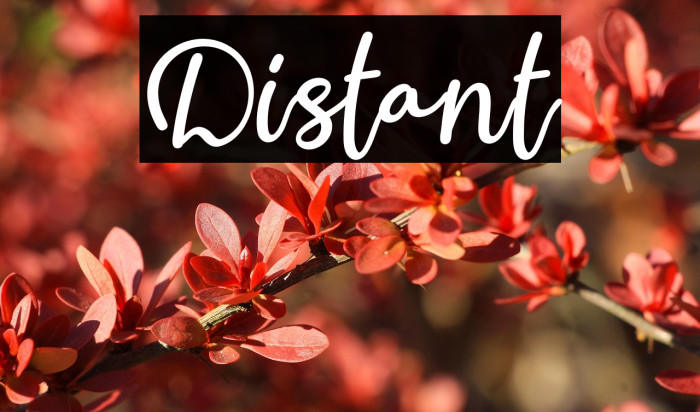 Distant Example 3