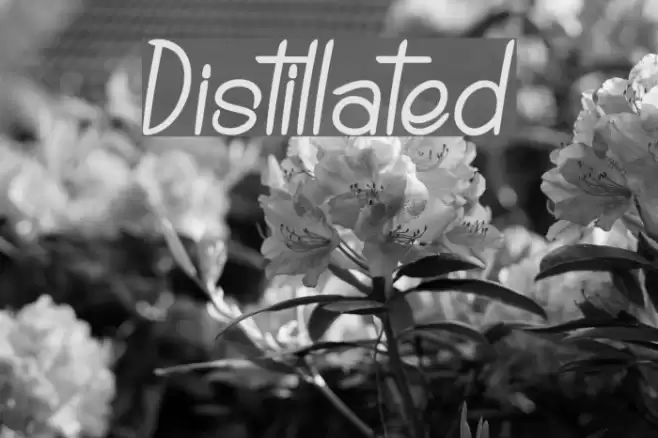 Distillated Font examples
