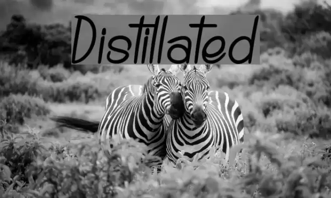 Distillated Font examples