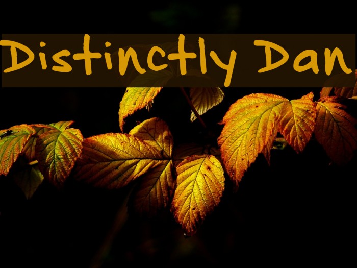 Distinctly Dan Font examples