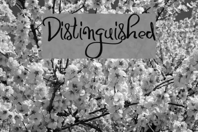 Distinguished Font examples