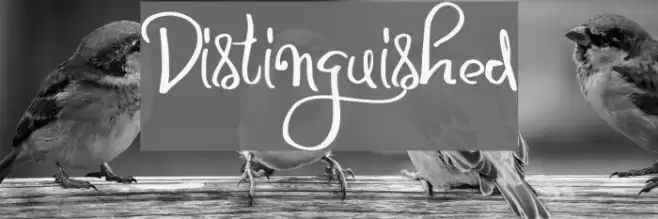 Distinguished Font examples