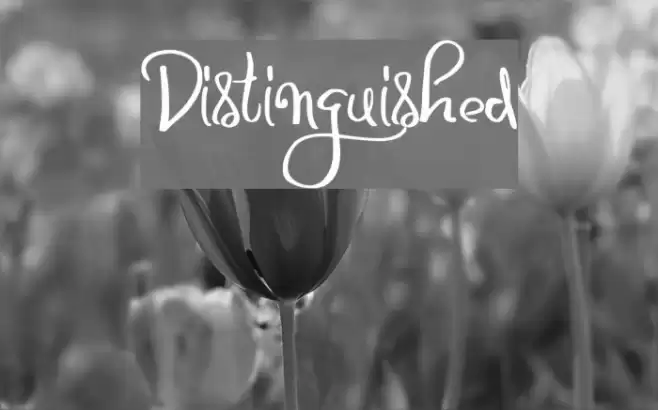 Distinguished Font examples