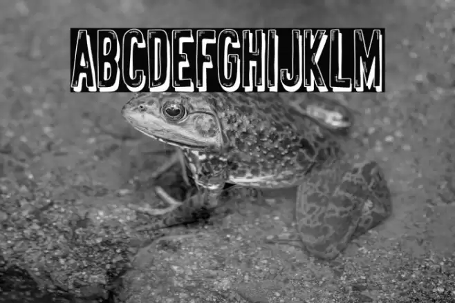 Distopia Genital خط examples