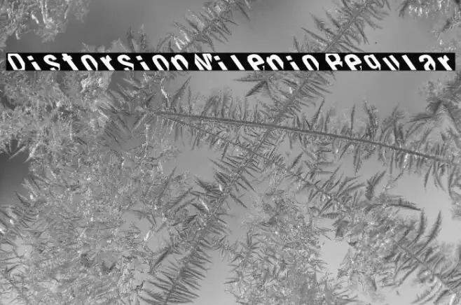 Distorsion Milenio Regular Example 2