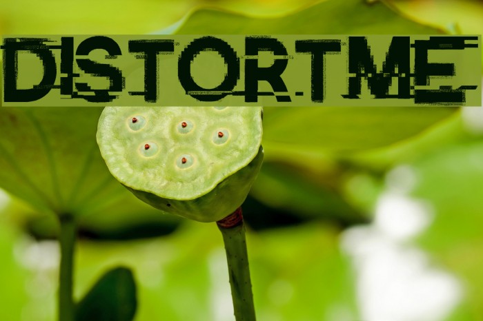 Distort-Me Example 3