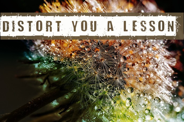 Distort You A Lesson Example 2