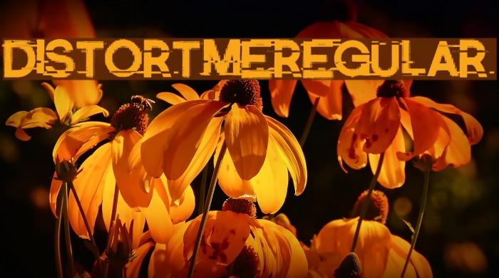 DistortMe-Regular Font examples
