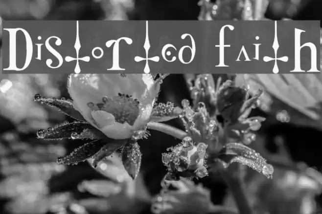 Distorted Faith フォント examples