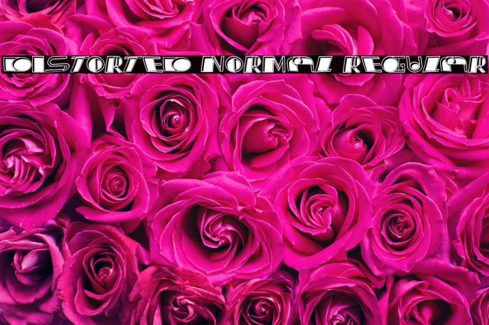 Distorted Normal Regular Example 3