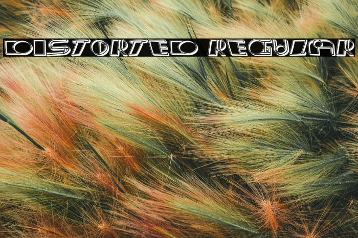 Distorted Regular Example 1