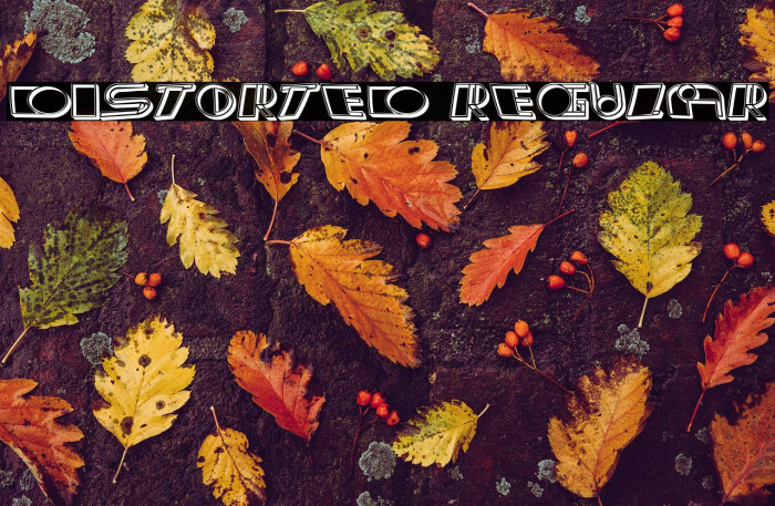 Distorted Regular Example 2