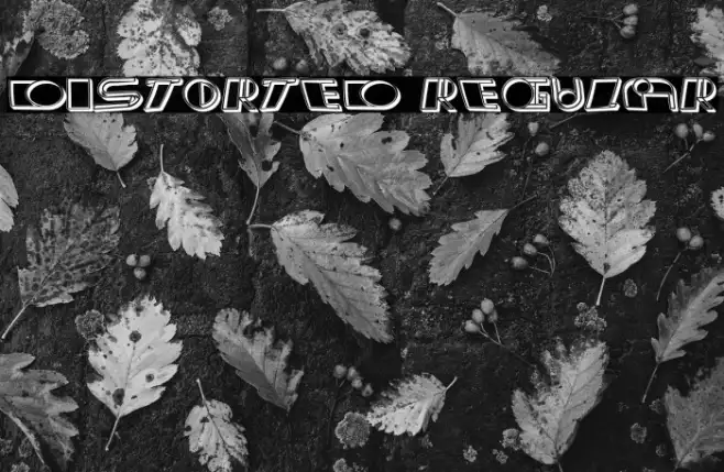 Distorted Regular Example 2