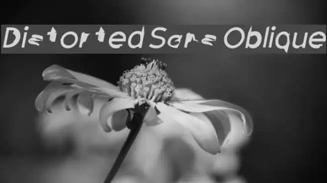 Distorted Sans Oblique Fuentes examples