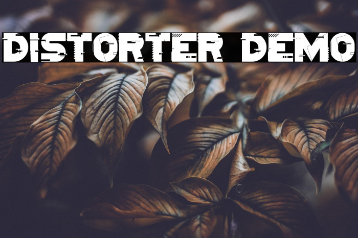 Distorter Demo Example 1