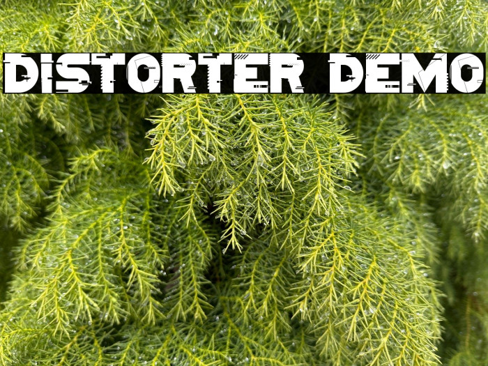 Distorter Demo Example 3