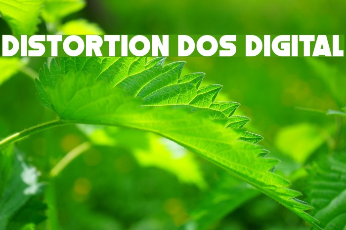 Distortion Dos Digital Font examples