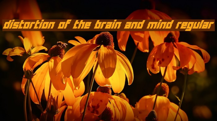 Distortion Of The Brain And Mind Regular Font examples