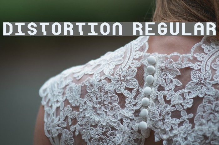 Distortion Regular 字体 examples