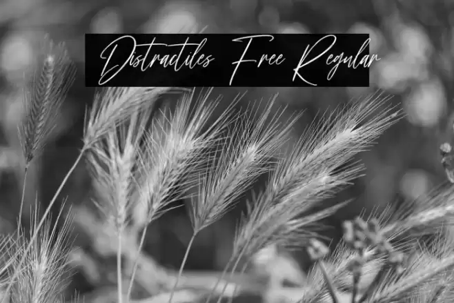 Distractiles Free Regular Font examples