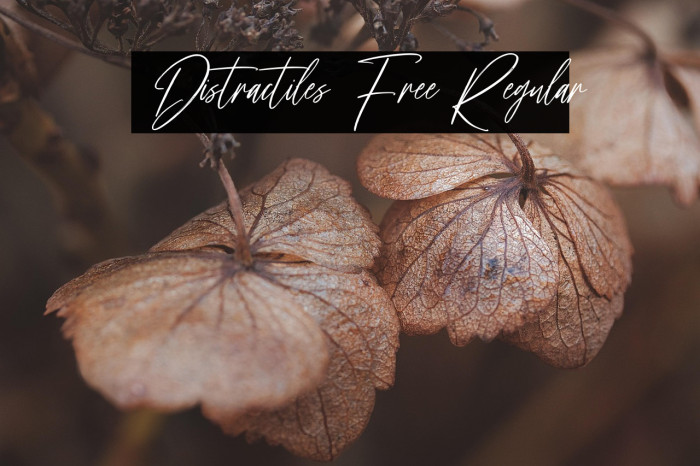 Distractiles Free Regular Example 2