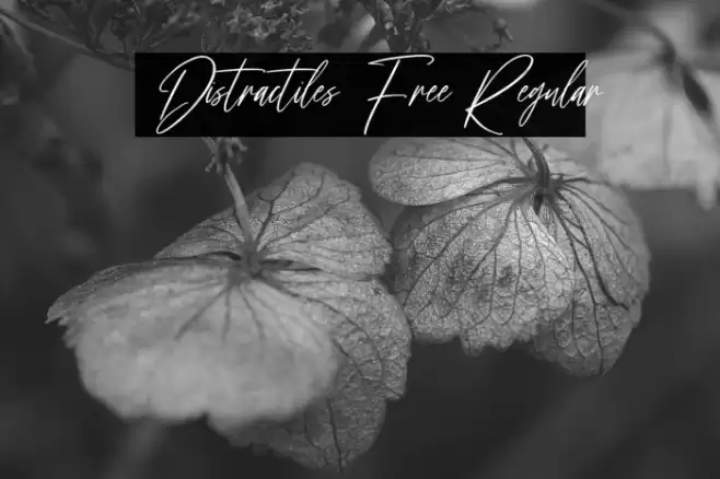 Distractiles Free Regular Font examples