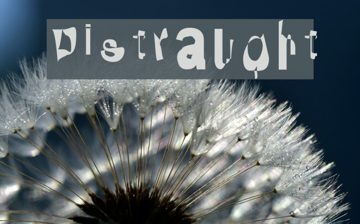 Distraught Font examples