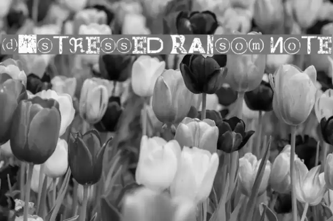 Distressed Ransom Note フォント examples