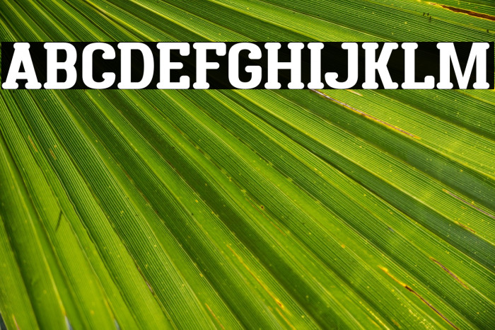 District Four Font examples