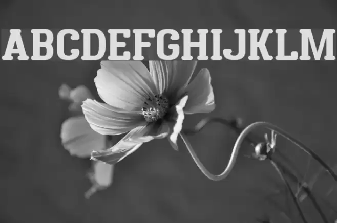 District Four Font examples