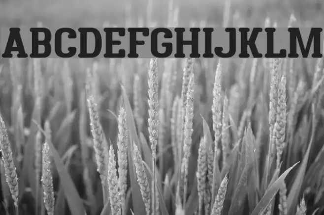 District Four Font examples