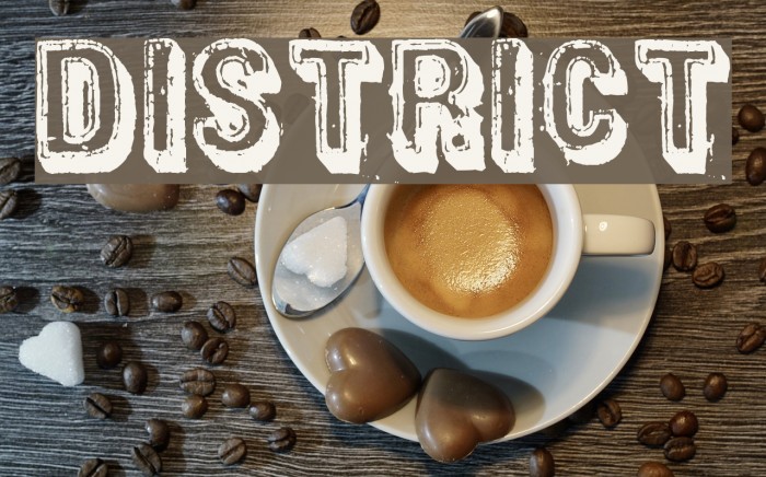 District Font examples